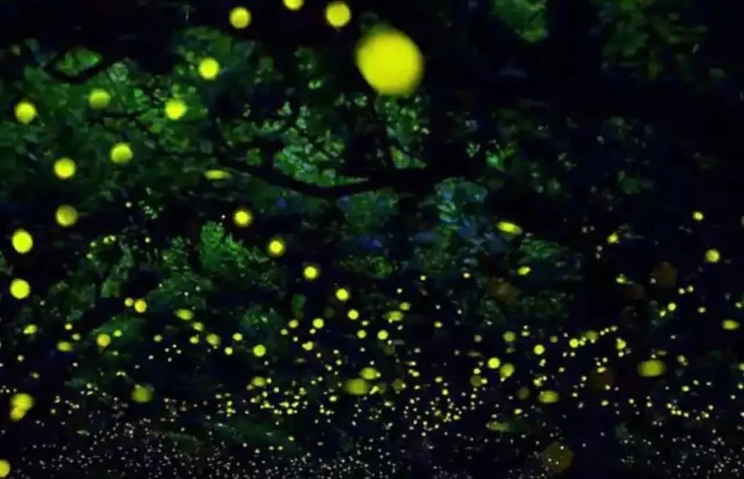 wKgBEFr8OuiAPqEmAAEwvzghNso86.jpeg?imageView2%2F2%2Fw%2F600%2Fq%2F90%7CimageMogr2%2Fstrip%2Fquality%2F90