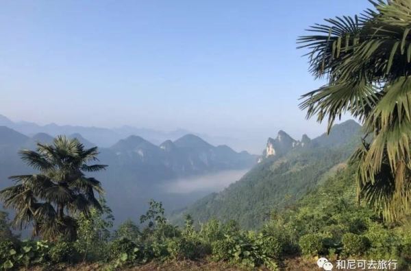 屏山已是傍晚,在环境幽静又风景怡人的田家大院住下,带上放松的心情,享受清晨小鸟的叫醒服务,推开门,你会看到远处的云海,美好的一天就在心旷神怡中开启! 特殊的地理环境,让屏山峡谷没有受到任何污染。因山峦与河谷落差千米,形成了独特的峡谷地貌这里空气清新,水流澄澈,森林覆盖率极高,宛如一座天然的氧吧。青山绿水、峭壁林立,形成了罕见的地缝风光。屏山峡谷位于恩施自治州鹤峰县容美镇,距离鹤峰县约10公里。屏山山侧屏立、山顶平旷,又名平山。 4 早餐后,为避开人群,提早预约上当红肌肉男艄公为我们撑舵,网红的景点,
