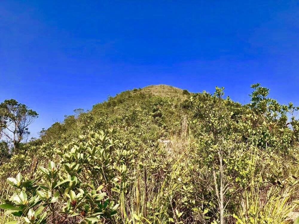 惠州淡水街区与深圳坪山水祖坑田头山交界处