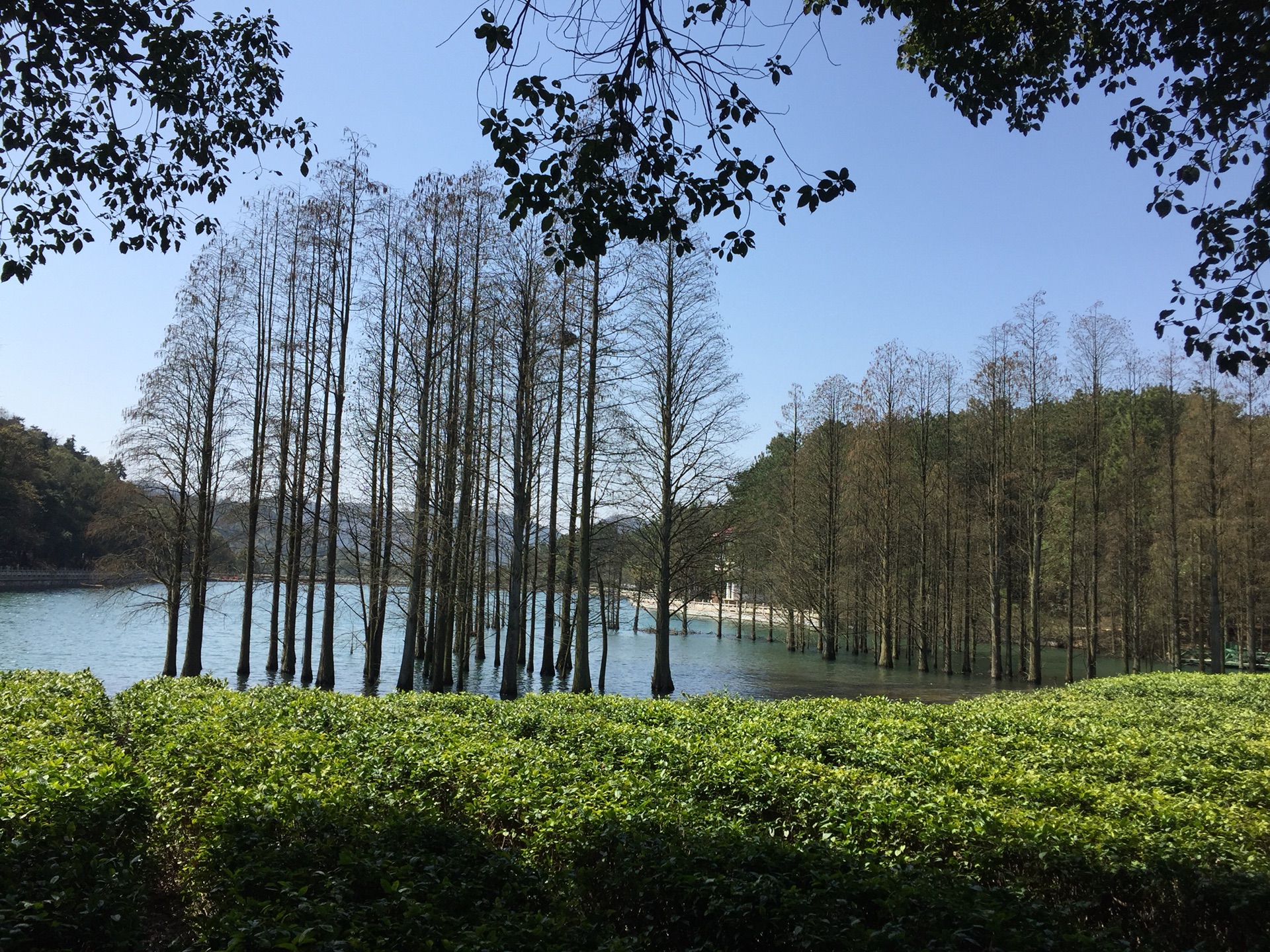 周末游九真山森林公园