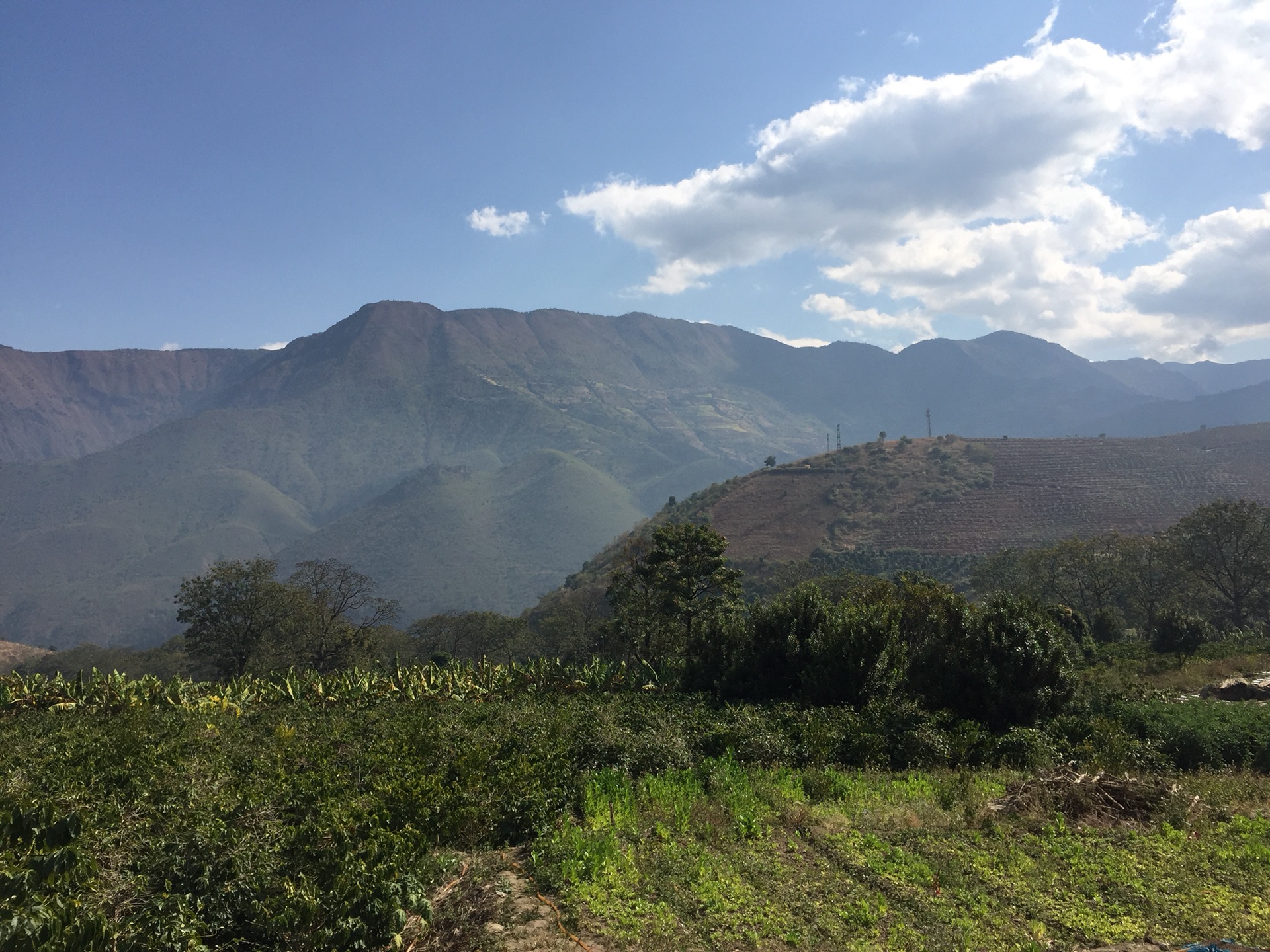 春节赶去潞江坝杀猪-保山大理片景,保山旅游攻略 - 马