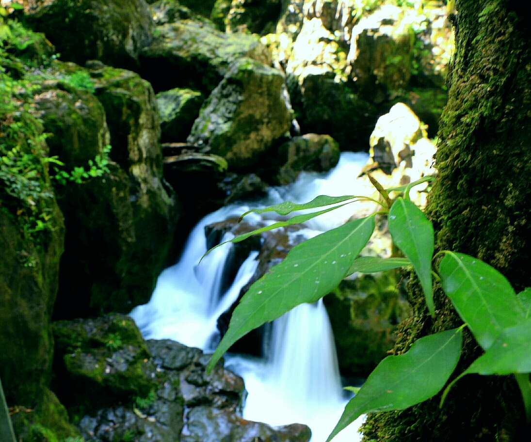 雅安龙苍沟风景区