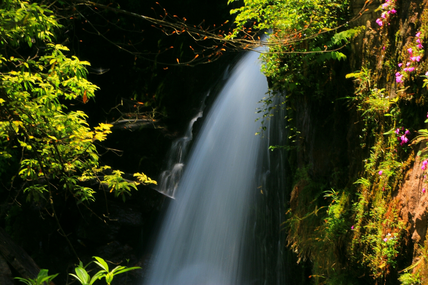 雅安龙苍沟风景区