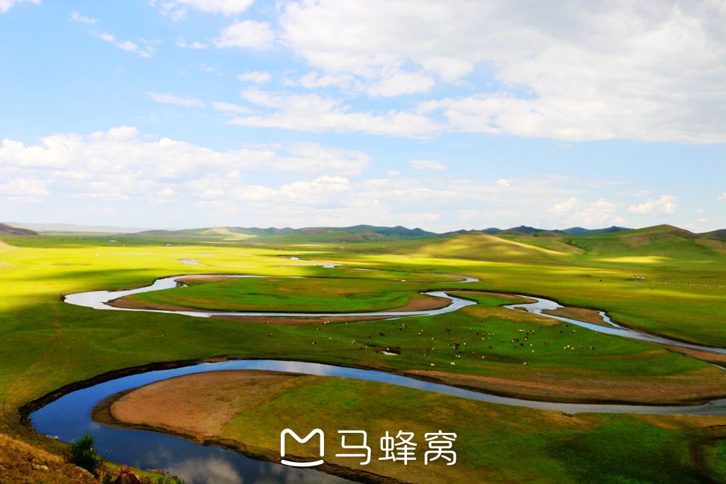 情寄大草原简谱_情寄大草原 发行版