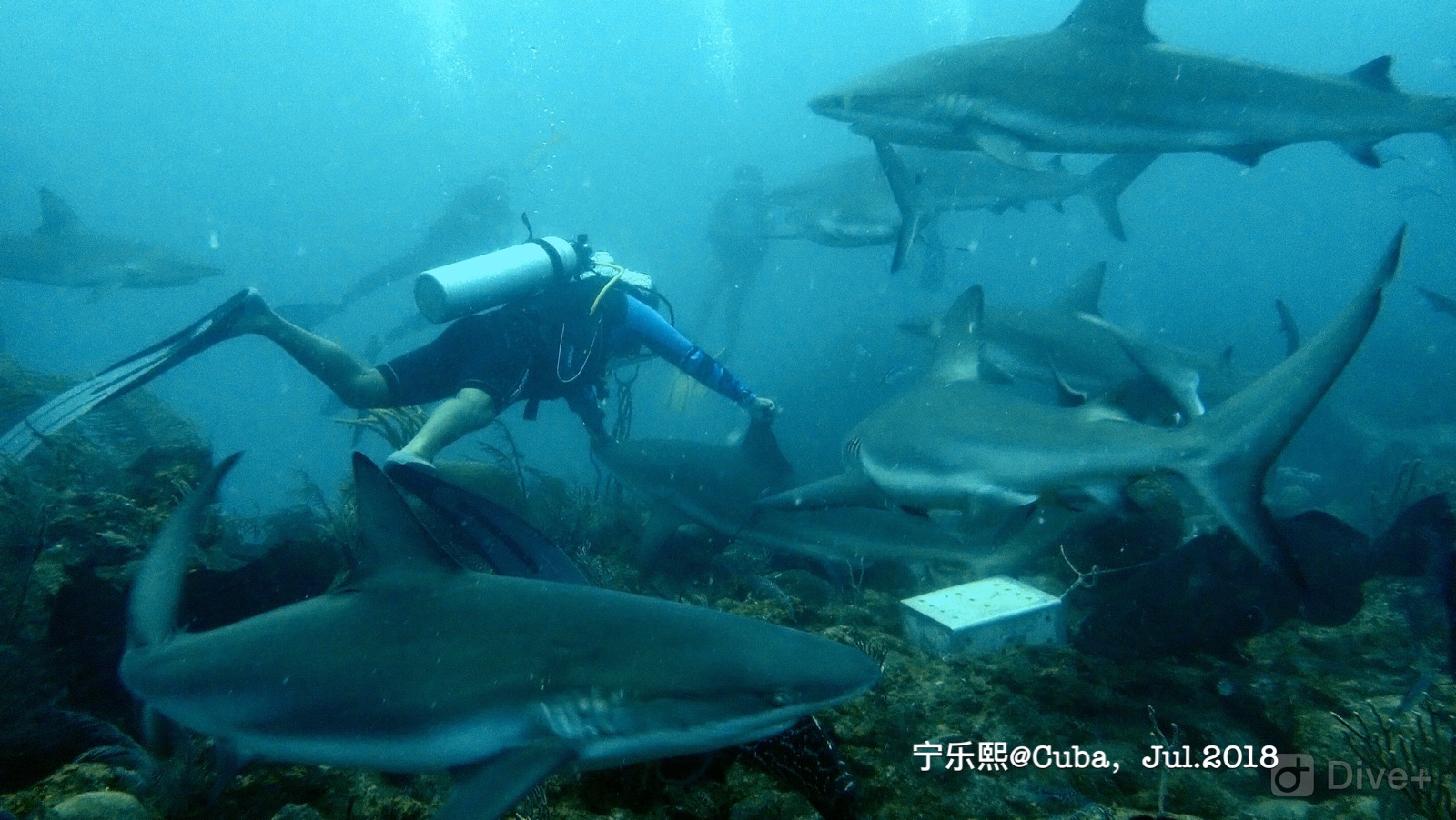 wKgBEFtlcK-APpY_AAaBxG1L2og54.jpeg?imageView2%2F2%2Fw%2F600%2Fh%2F600%2Fq%2F90