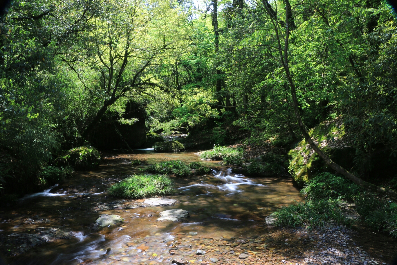 雅安龙苍沟风景区