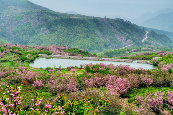 京都岚山有什么好玩的，京都岚山游玩攻略