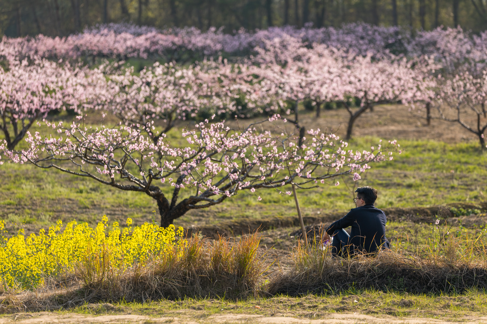 ����������ɽ��վ���ļ����ξ�����·�����