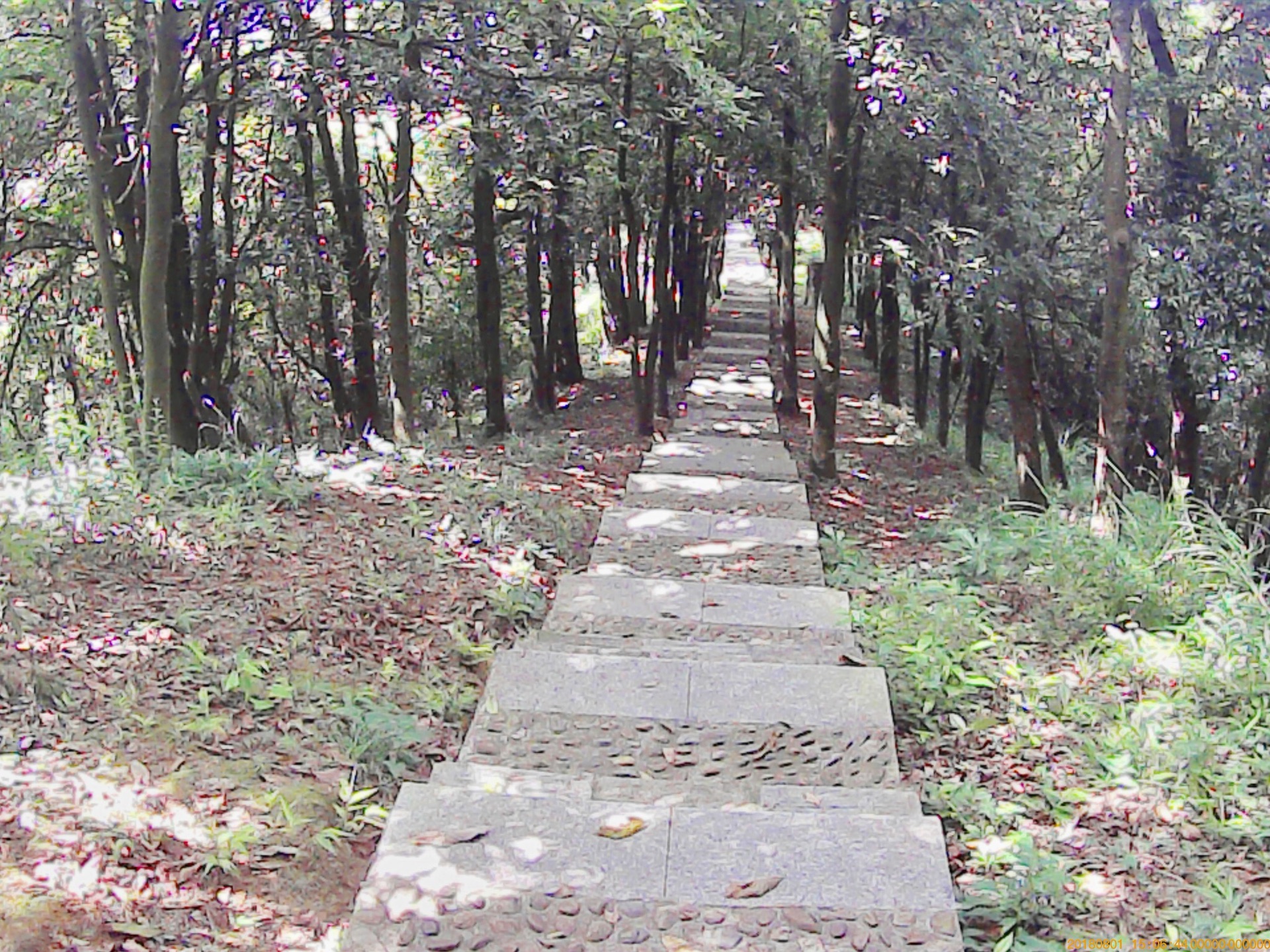暴走银湖山郊野公园 不一样的风景