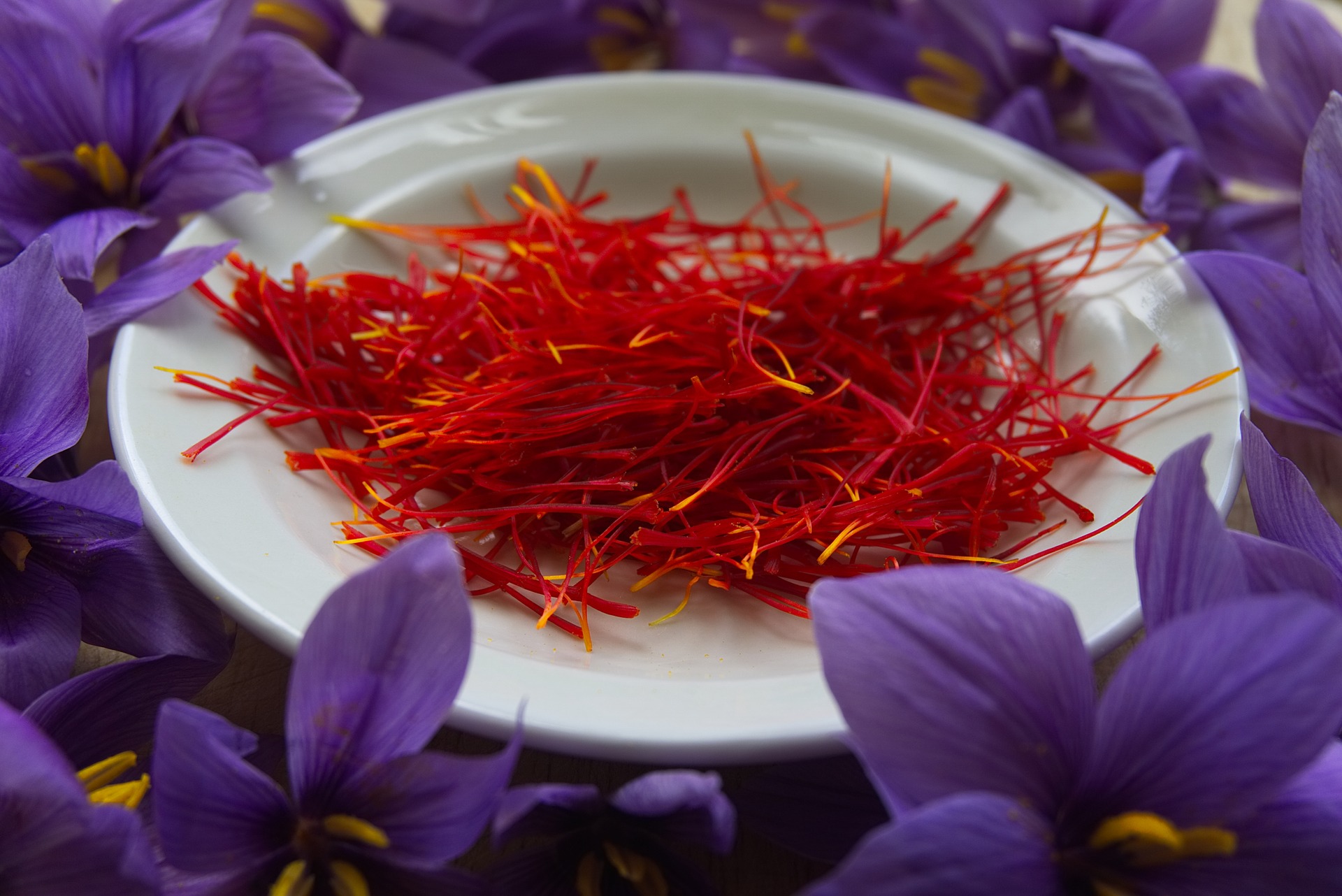 所以才有了藏红花的名字) 值得一提的是,在西班牙,藏红花真的是便宜啊