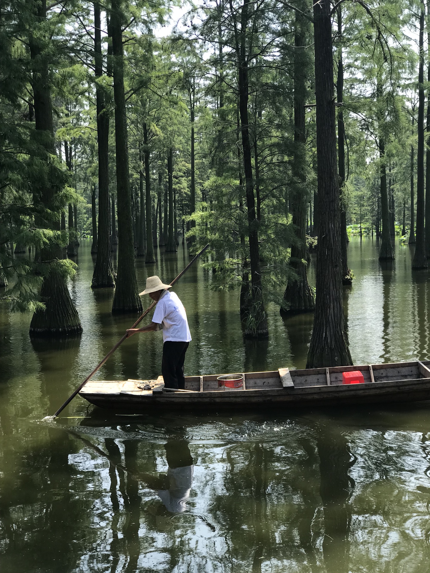 涨渡湖湿地公园