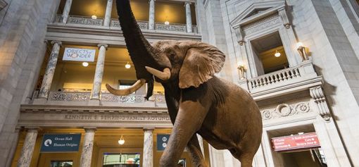 自由女神像简介中文 wKgBEFtpCmSAATFJAAEEcgzm7QE68.jpeg?imageView2%2F2%2Fw%2F510%2Fh%2F8000%2Fq%2F100