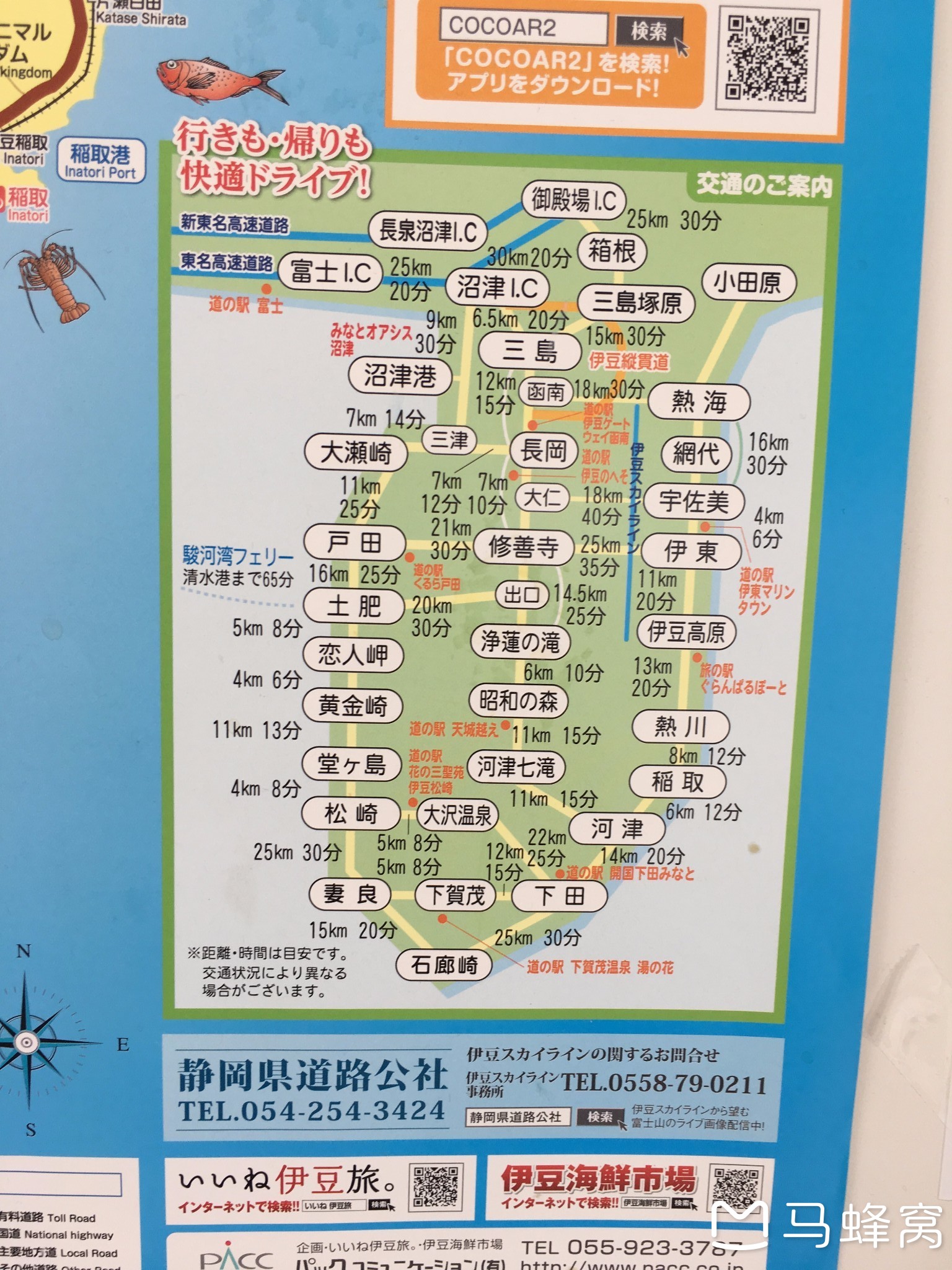 静冈伊豆半岛山葵线路五天往返流水账