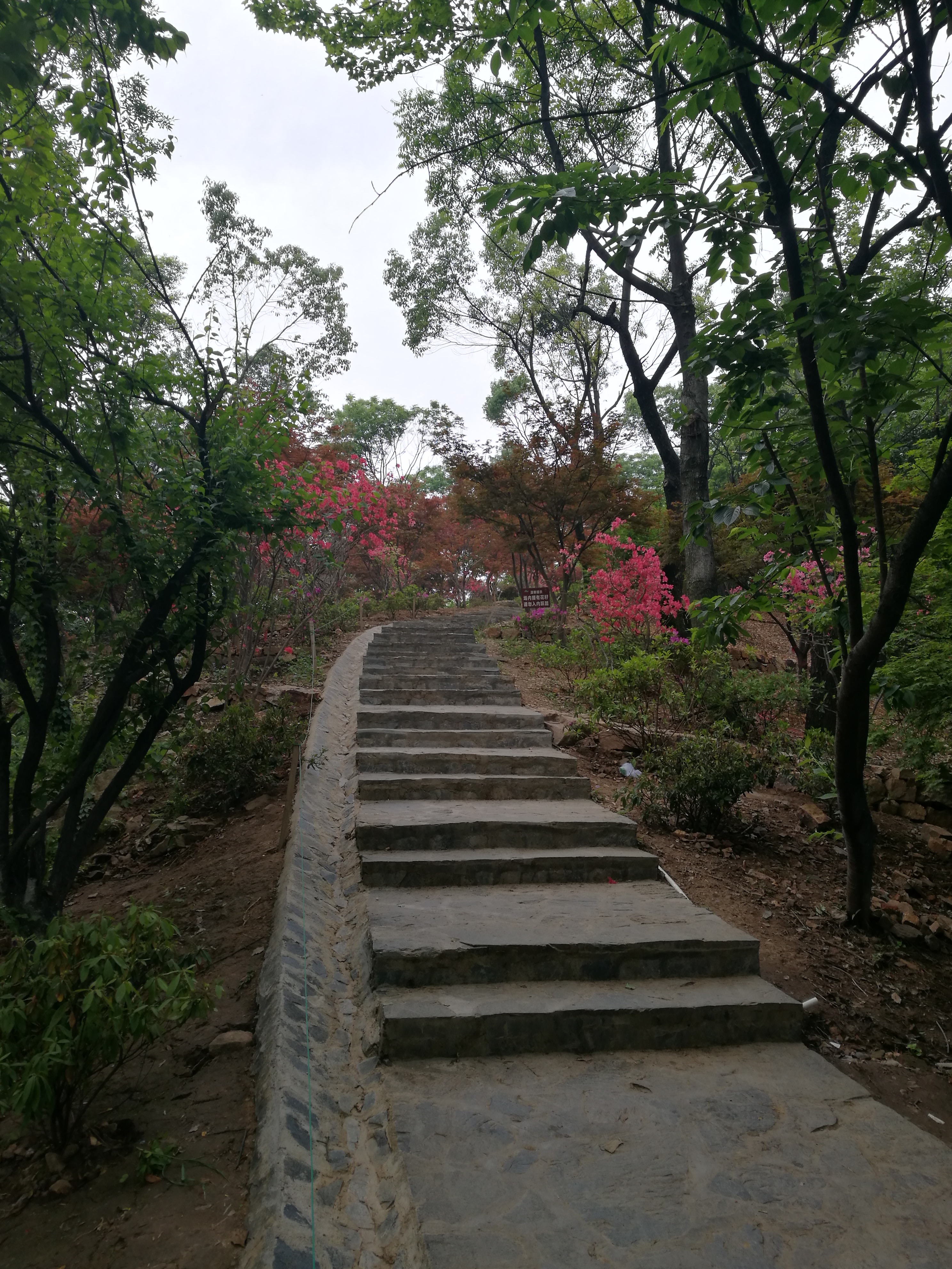 荣湾镇下),7:50从岳麓山东门进山,10:00从南门下山,赶赴长沙火车站,11