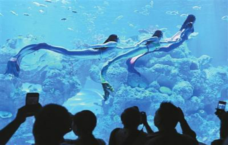 芜湖新华联大白鲸海洋公园门票