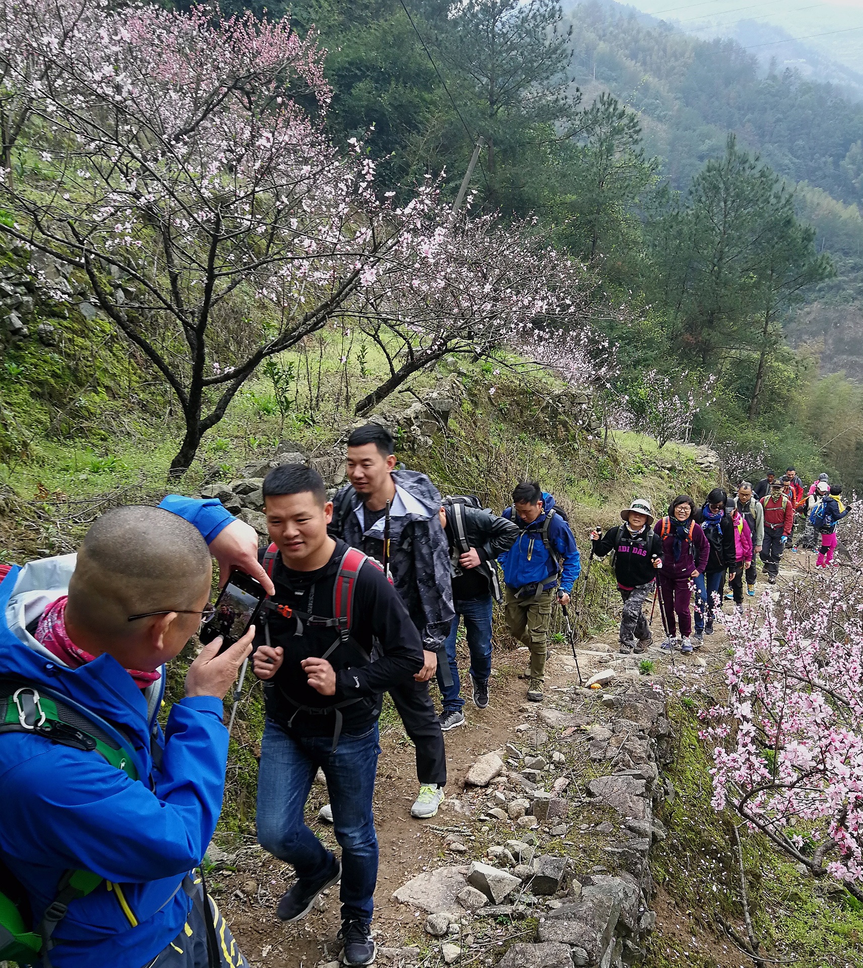 朱坑村人口_人口普查(3)