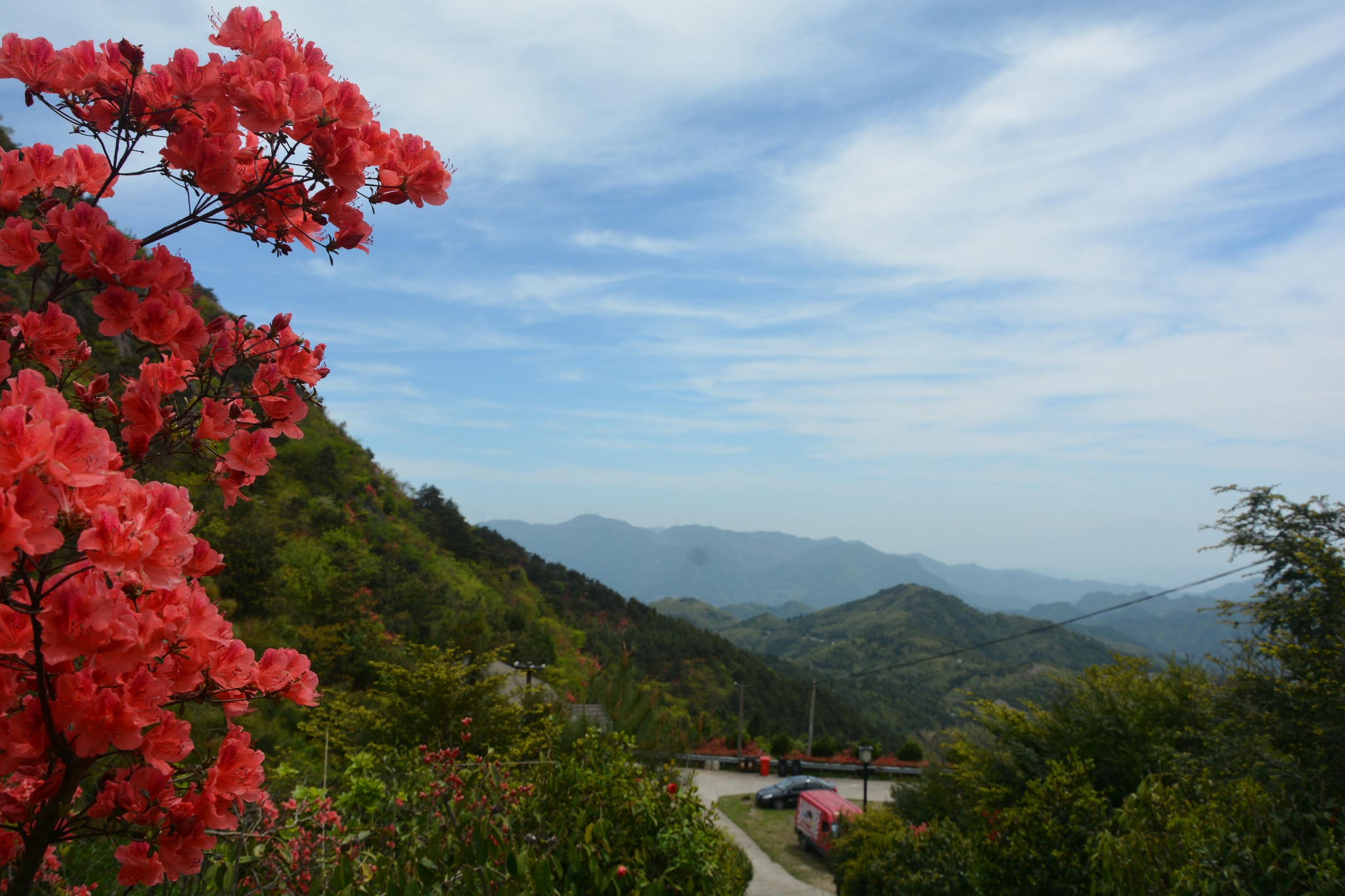 磐安高二乡高姥山浙中杜鹃谷