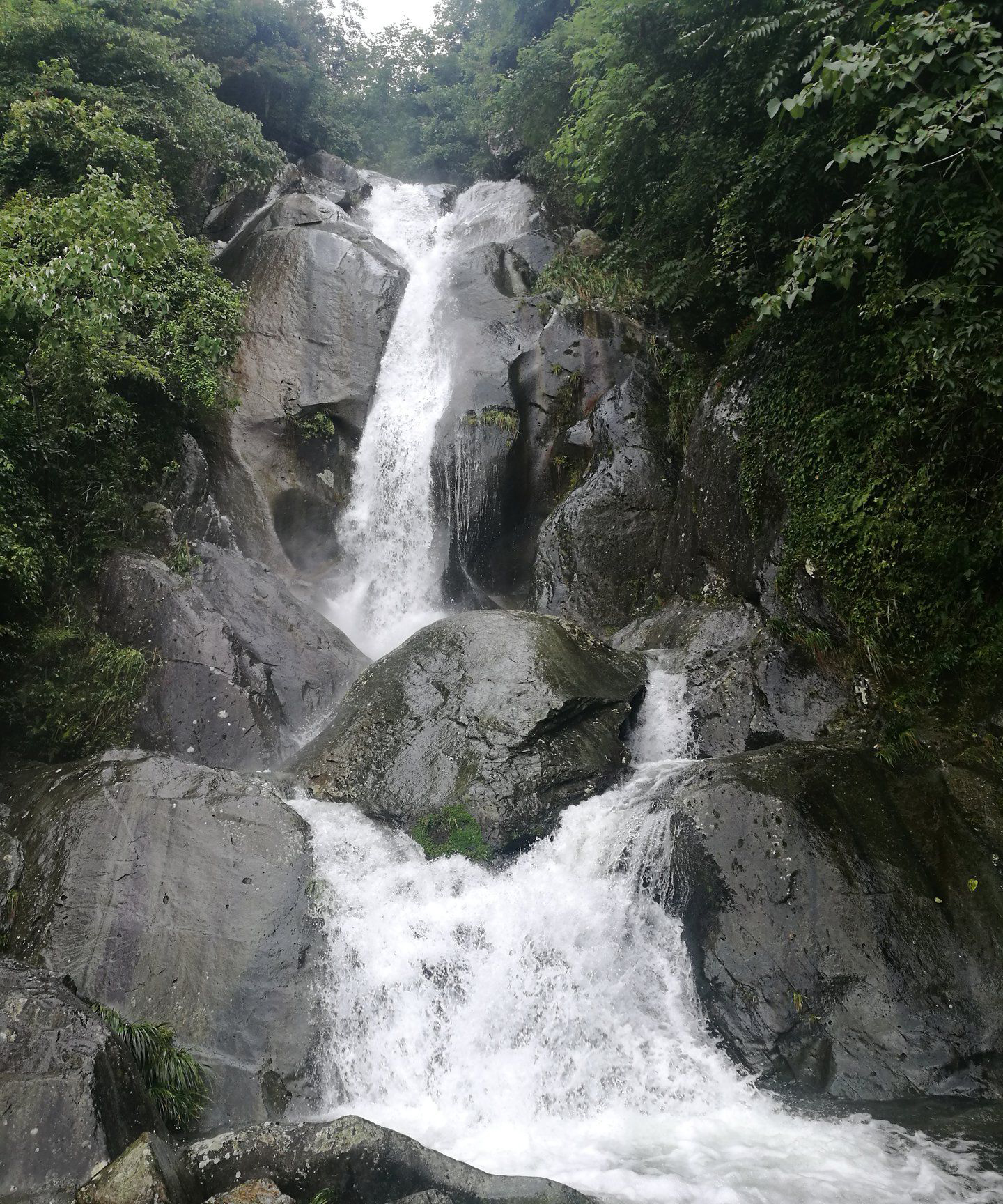 桂林龙胜布尼梯田·加乌瀑布门票 梯田景观自驾游