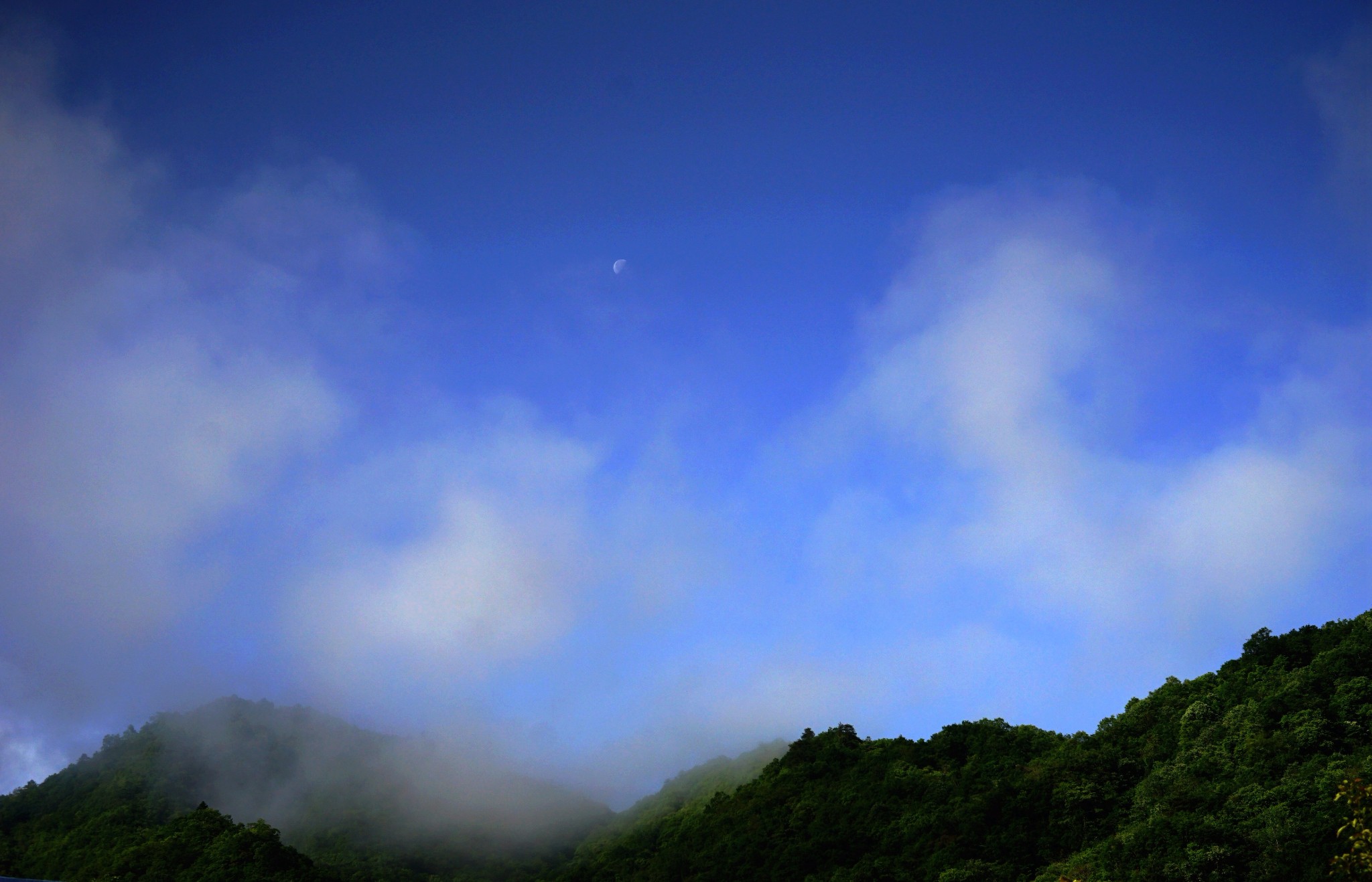 wKgBEFr7x62AQzm4AAZAOelUHoQ03.jpeg?imageView2%2F2%2Fw%2F600%2Fh%2F600%2Fq%2F90