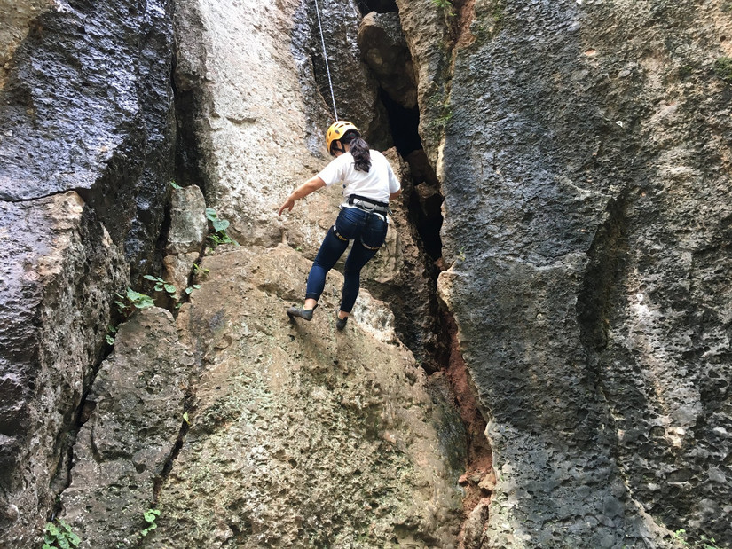 陈荣辉难忘今宵小提琴谱