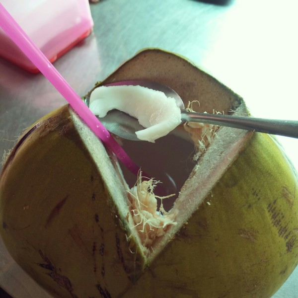 如何开椰子吃肉 wKgBEFqaPO6AZBTCABN7hXyqVkA64.jpeg?imageView2%2F2%2Fw%2F600%2Fh%2F600%2Fq%2F90