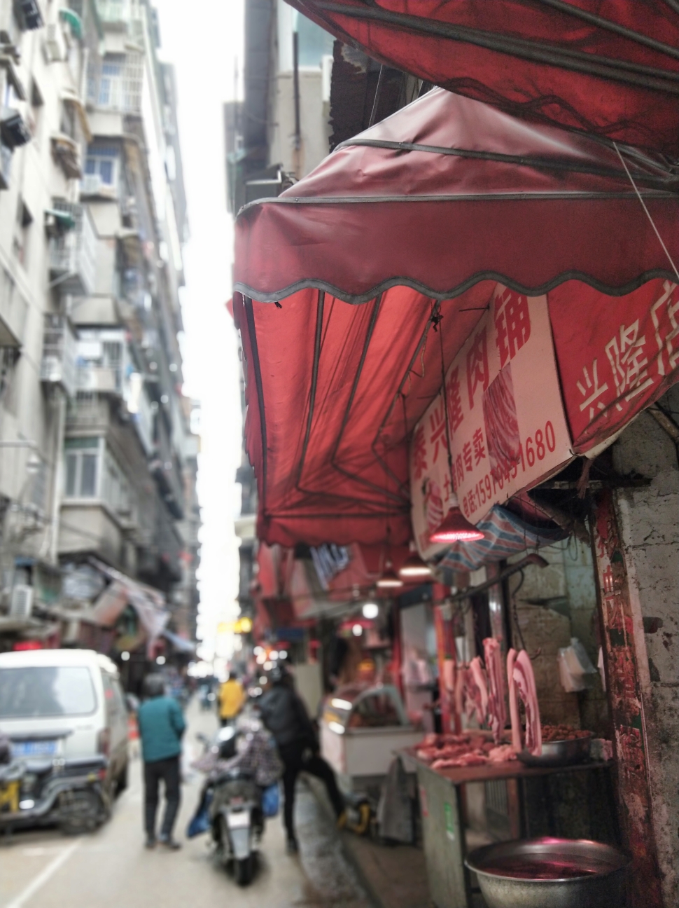 烤红薯猜成语_烤红薯图片(2)