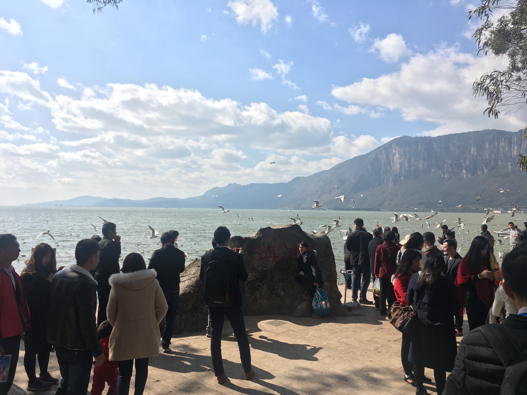 红河县有多少人口_红河县洛恩乡街道图片(2)