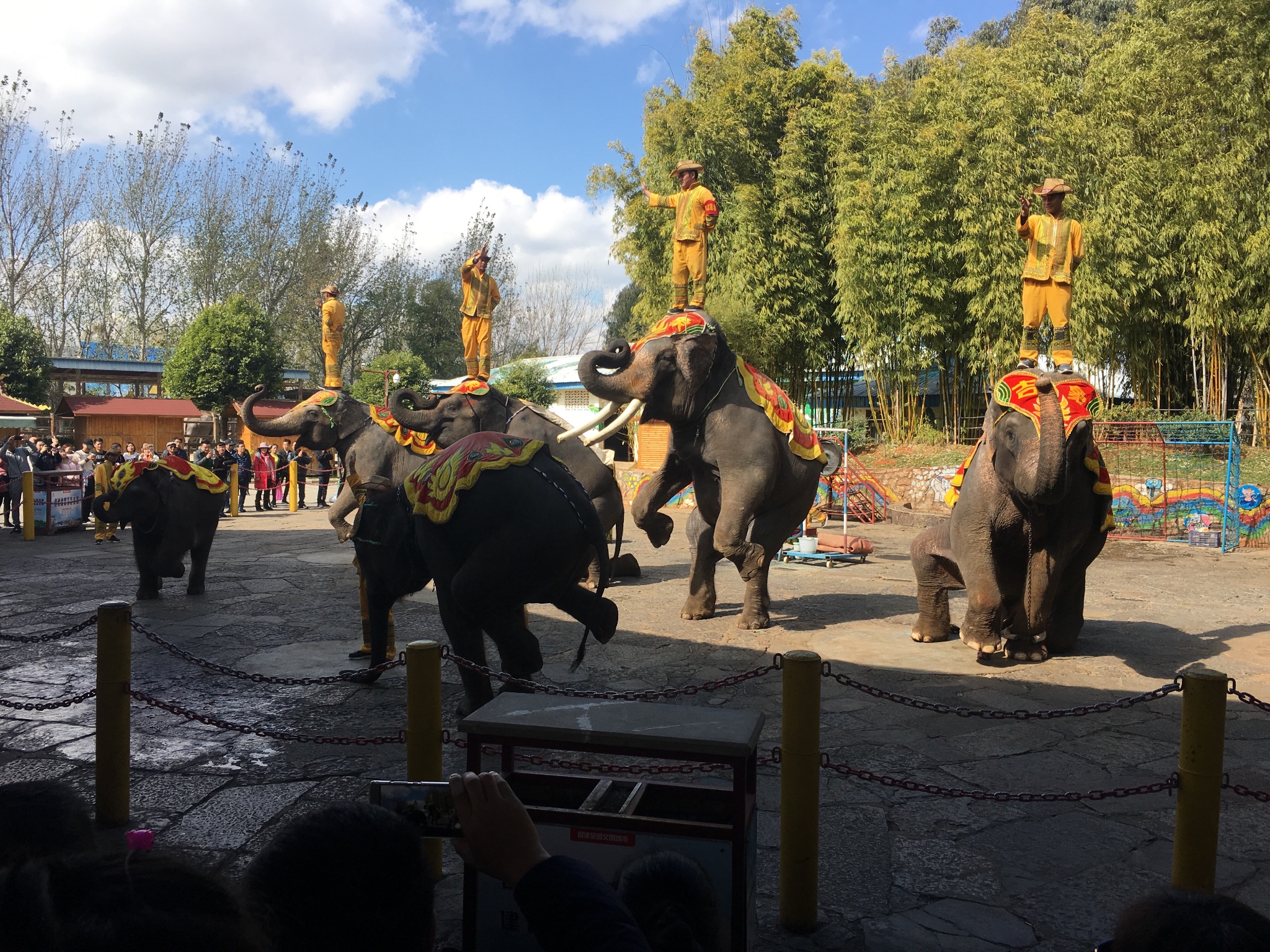 红河县有多少人口_红河县洛恩乡街道图片(3)