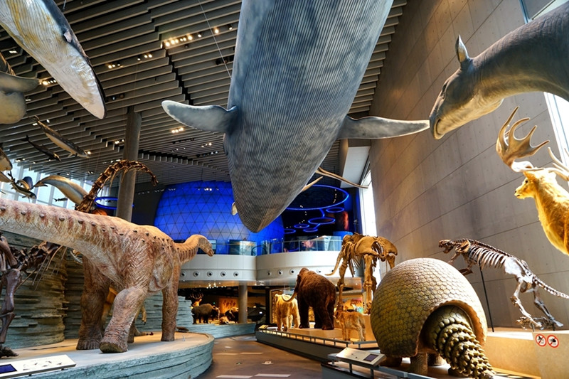 �Ϻ����й滮չʾ�� �Ϻ���Ȼ�����