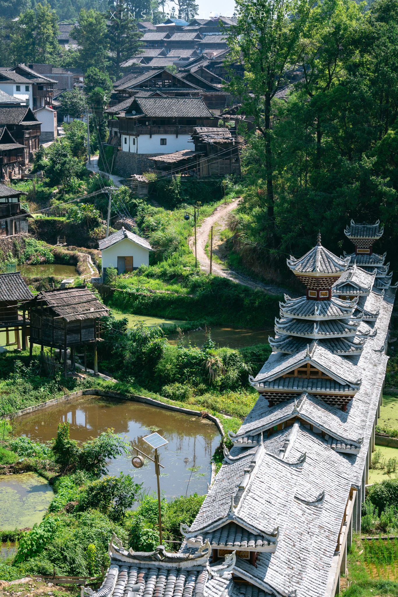 洛香多少人口_博社村人口多少(2)