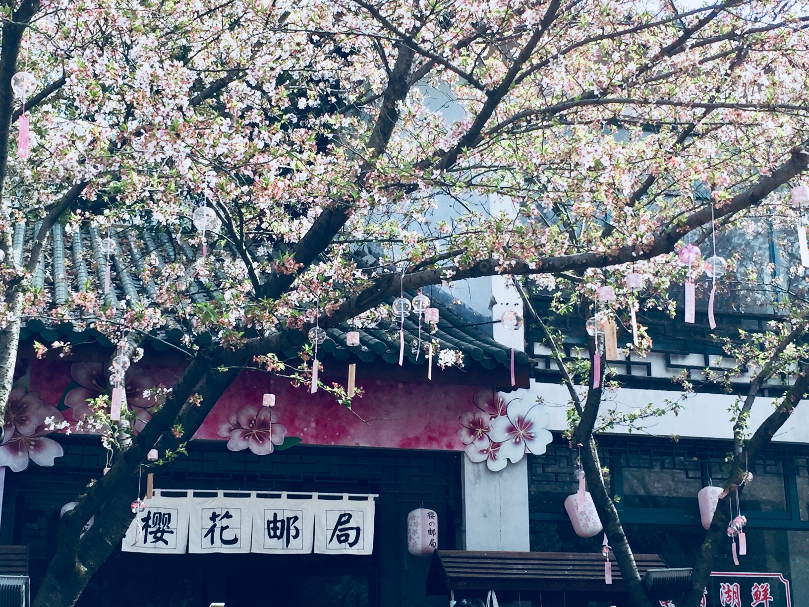 樱花邮局