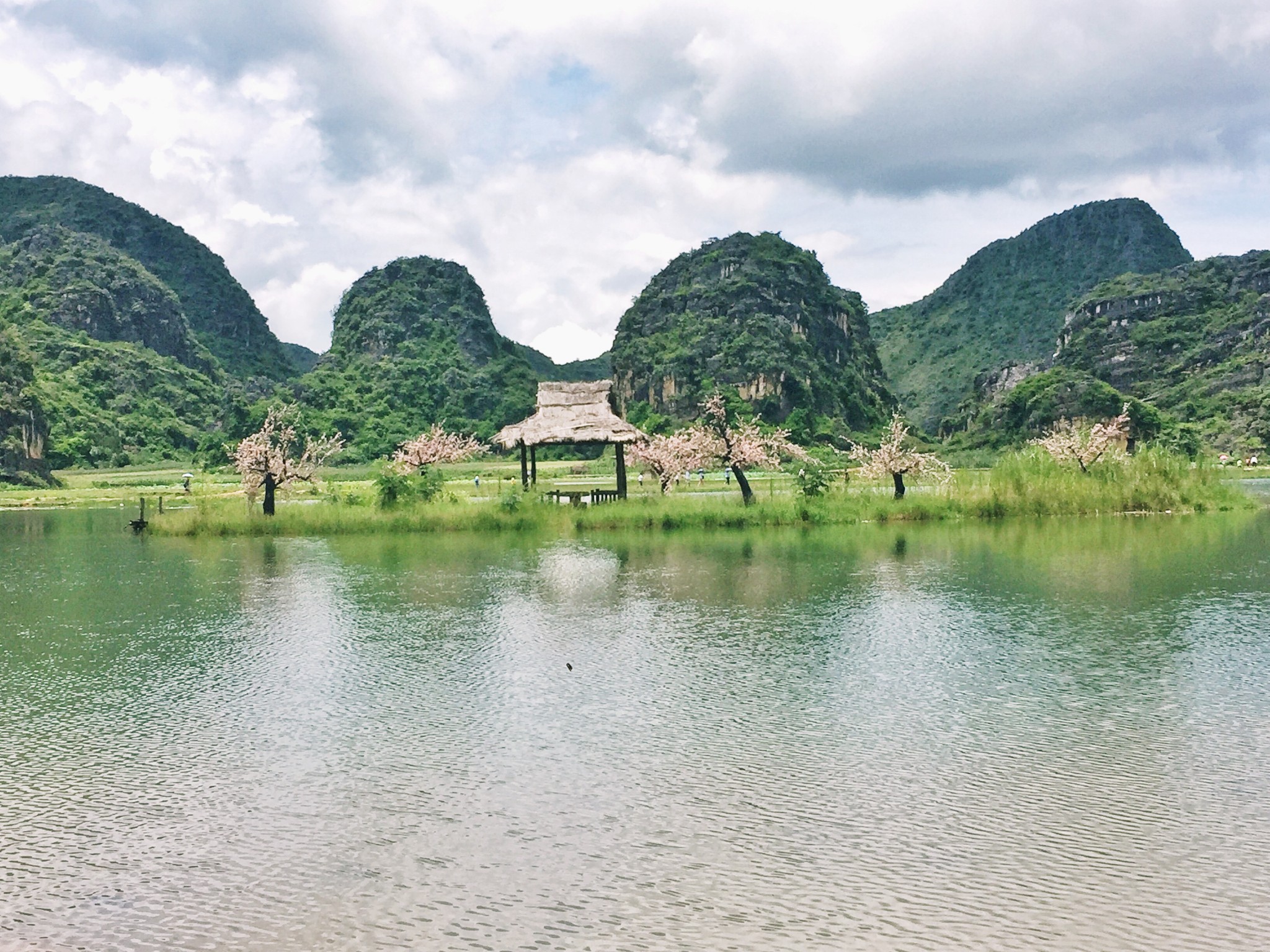 三生三世,为荷而来(丘北,和青丘一样挺武侠的名字)