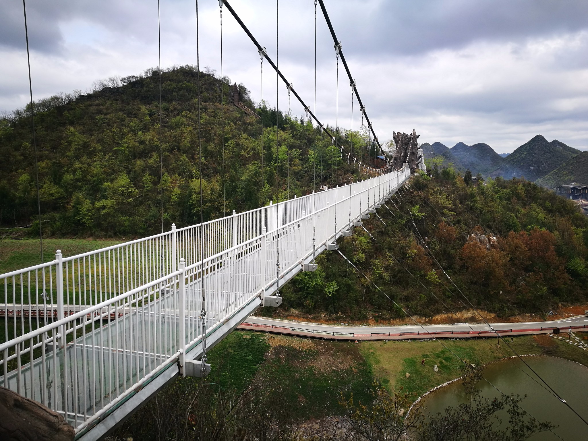 20180330-0401,百里杜鹃,大方旅游攻略 - 马蜂窝