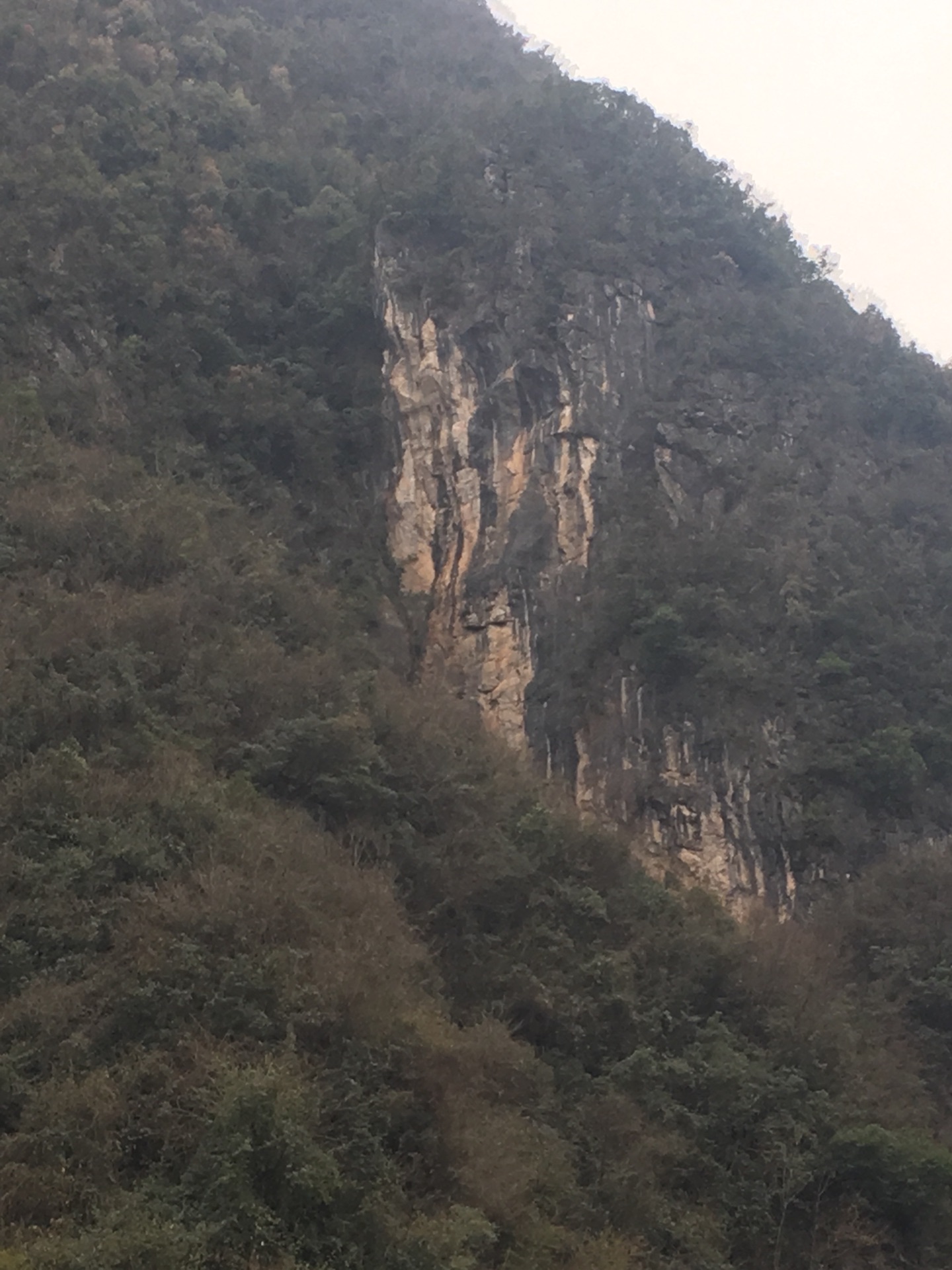 神农架山人口_神农架官门山图片(2)