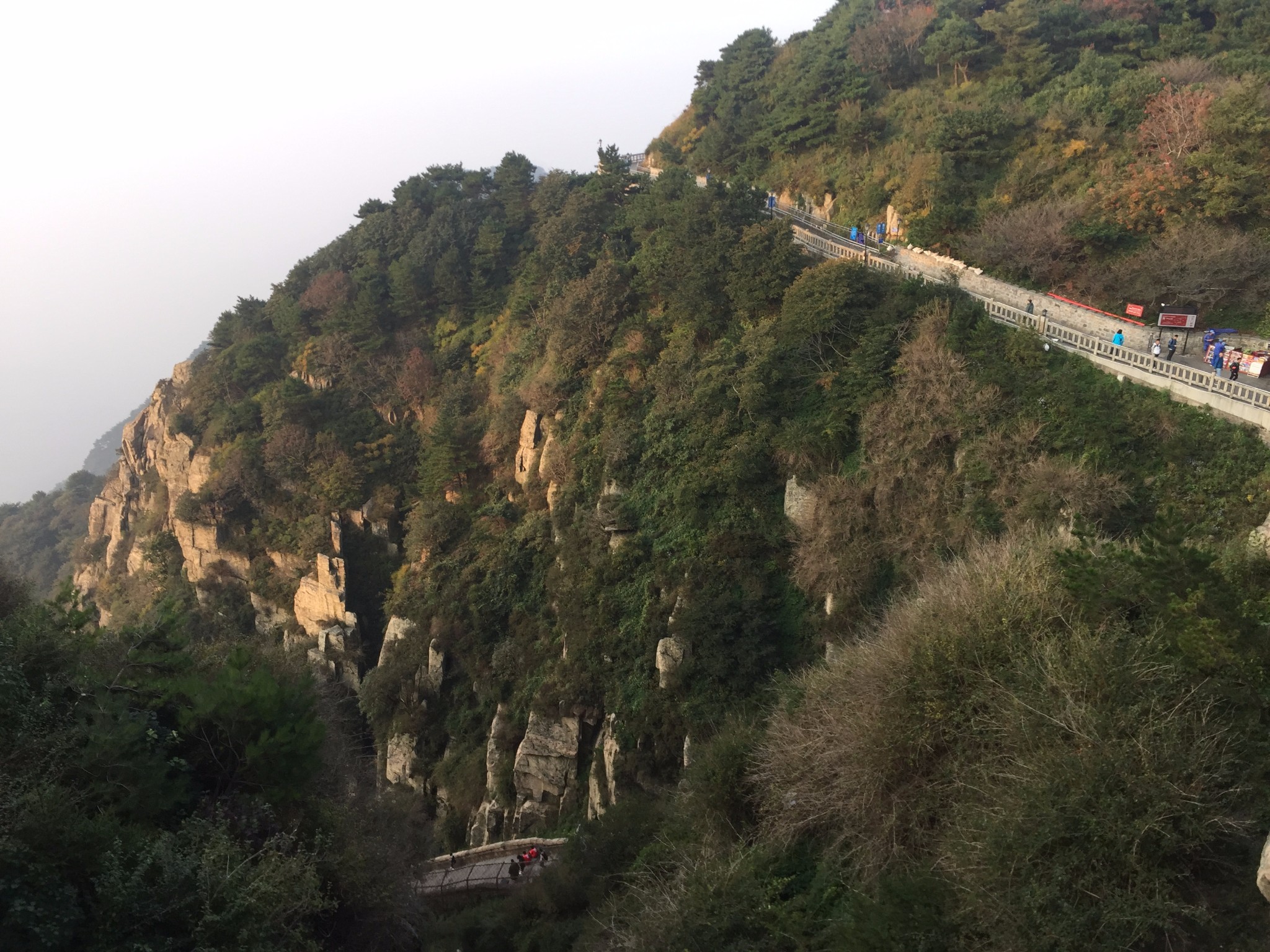 wKgBEFpwRqmAGB_xAAxGtc-9j0047.jpeg?imageView2%2F2%2Fw%2F600%2Fh%2F600%2Fq%2F90