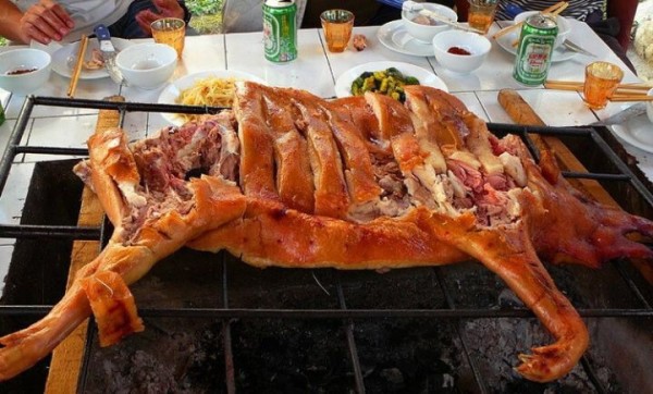 人可以吃生肉吗 wKgBEFp5yzKAIKH-AAG-ppNR00I95.jpeg?imageView2%2F2%2Fw%2F600%2Fh%2F600%2Fq%2F90