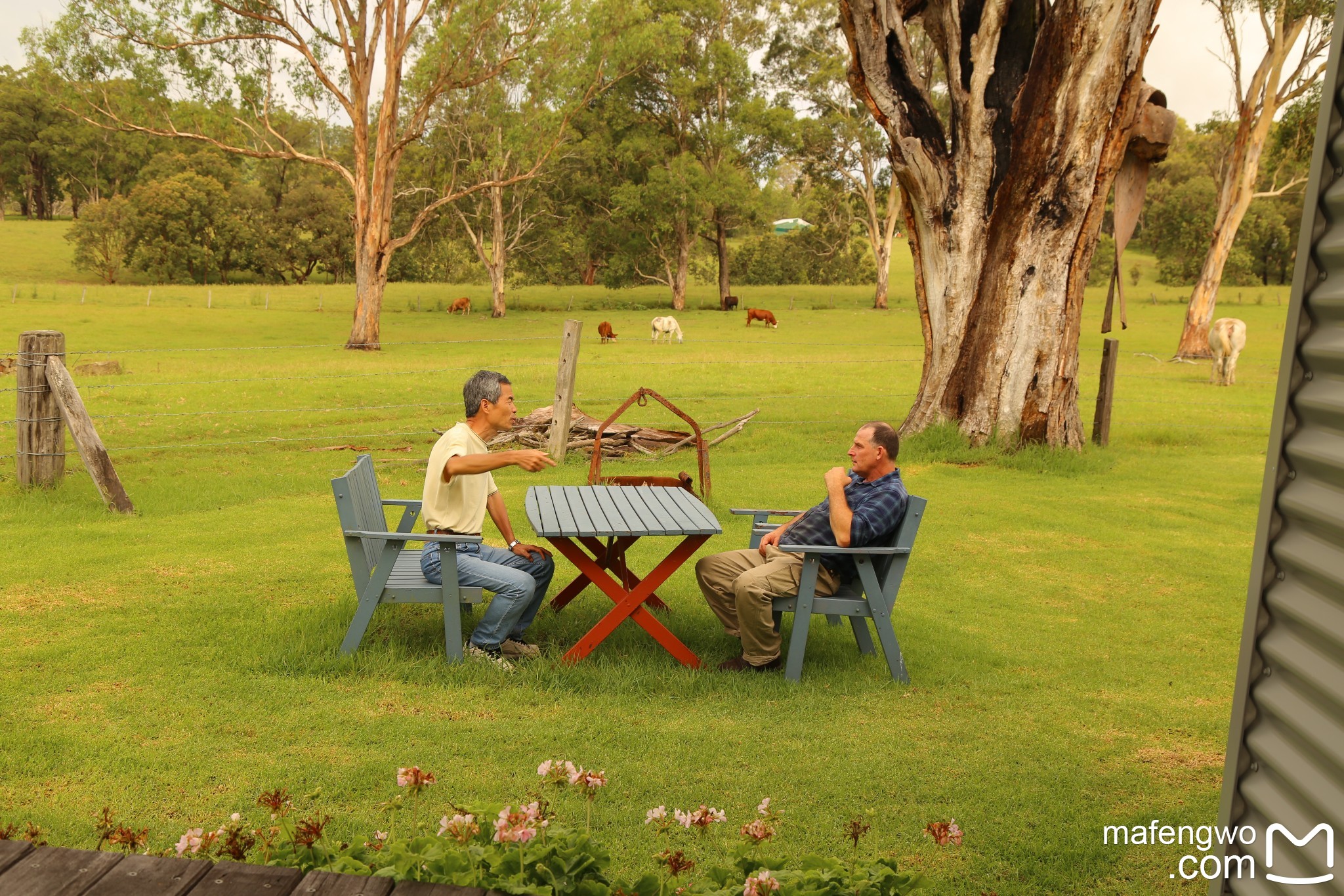 道、到地球的另一端看风景~澳洲东海岸悠闲自