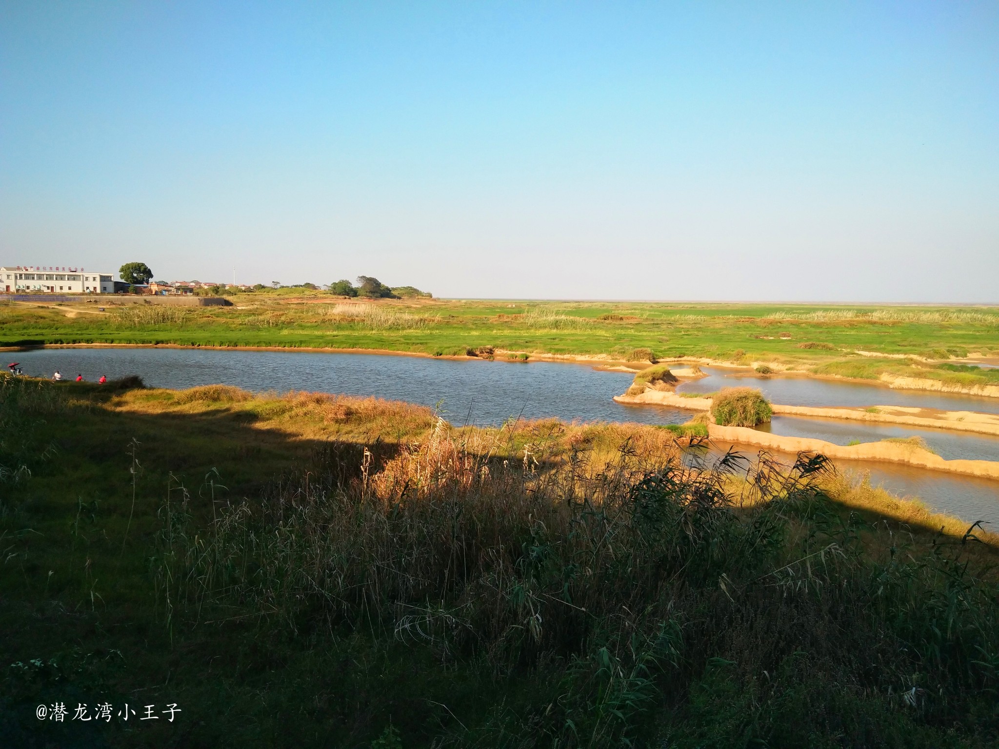 南昌的"绿野仙踪"——南矶山鄱阳湖自然保护区,江西自助游攻略 - 马