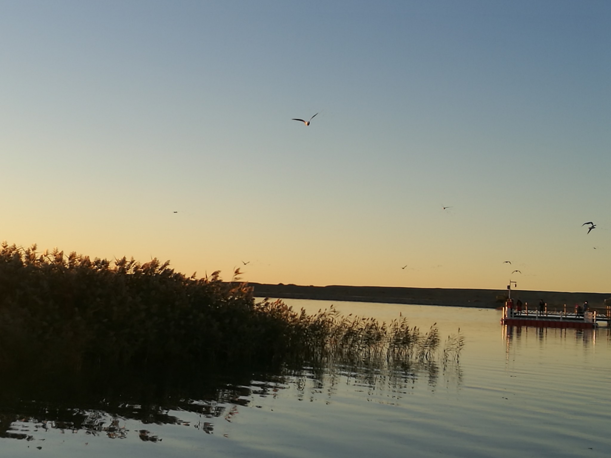 wKgED1vNxC2ACUkZAAPqni1mwQI46.jpeg?imageView2%2F2%2Fw%2F600%2Fh%2F600%2Fq%2F90