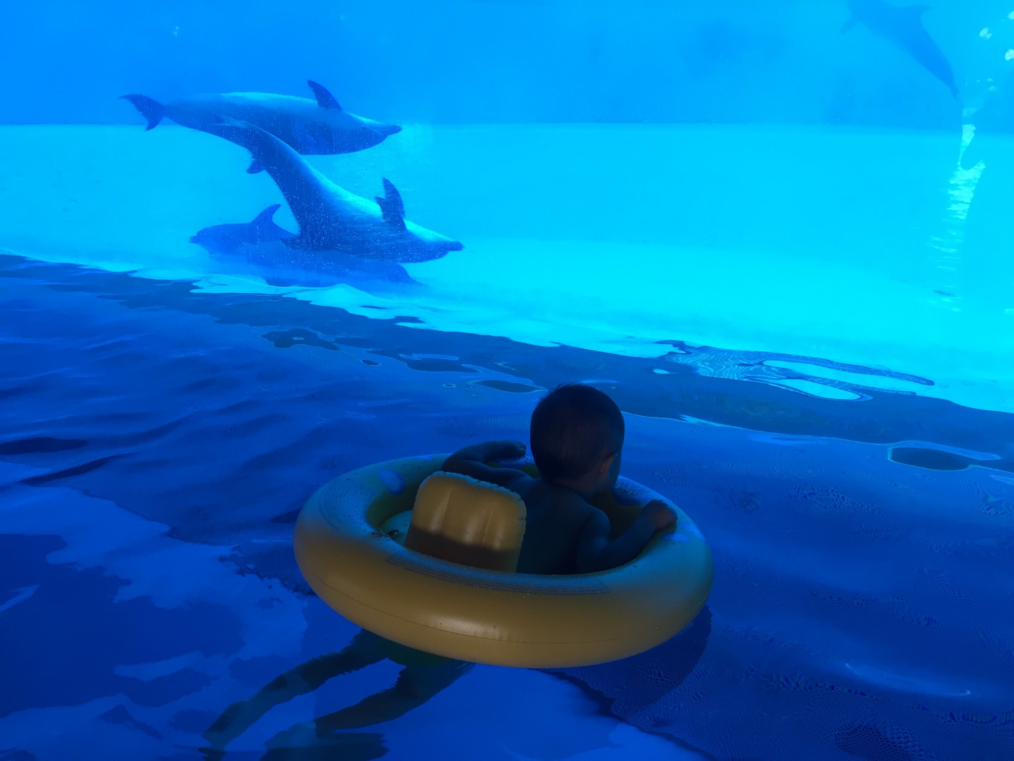 wKgED1vs8FyAWEIpAAUVtJPBIR800.jpeg?imageView2%2F2%2Fw%2F600%2Fh%2F600%2Fq%2F90