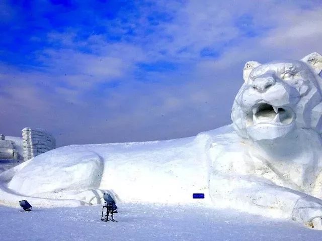 辽宁省旅游 东北旅游攻略 冬天不看雪雕,你对得起自己吗?