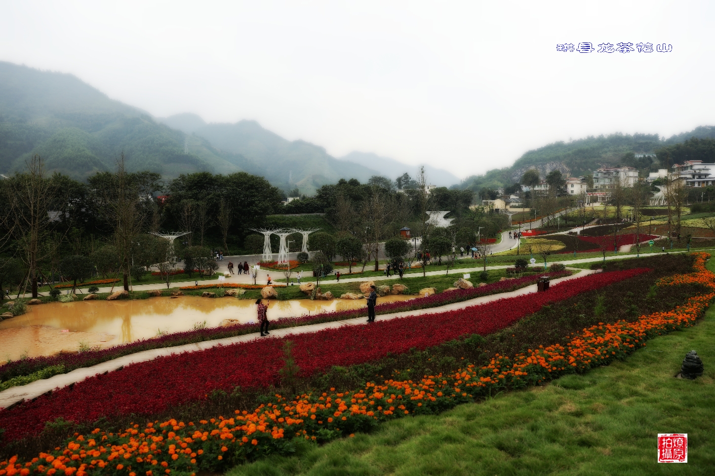 宜宾.珙县龙茶花海,珙县旅游攻略 - 马蜂窝