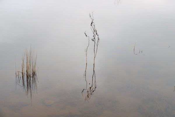 什么时候天越来越亮 wKgED1wUmeKAN0sIAAMh_2IQk7E27.jpeg?imageView2%2F2%2Fw%2F600%2Fh%2F600%2Fq%2F90