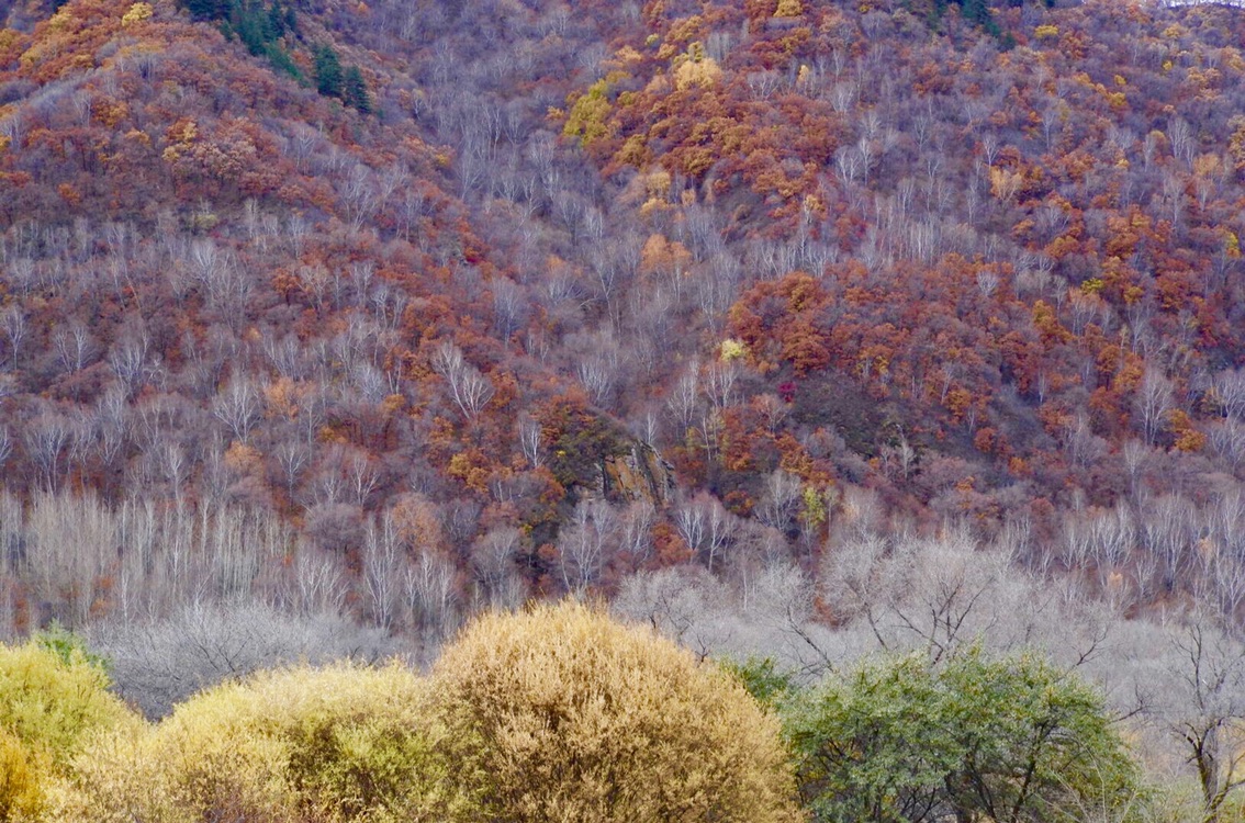 五道沟风景区        