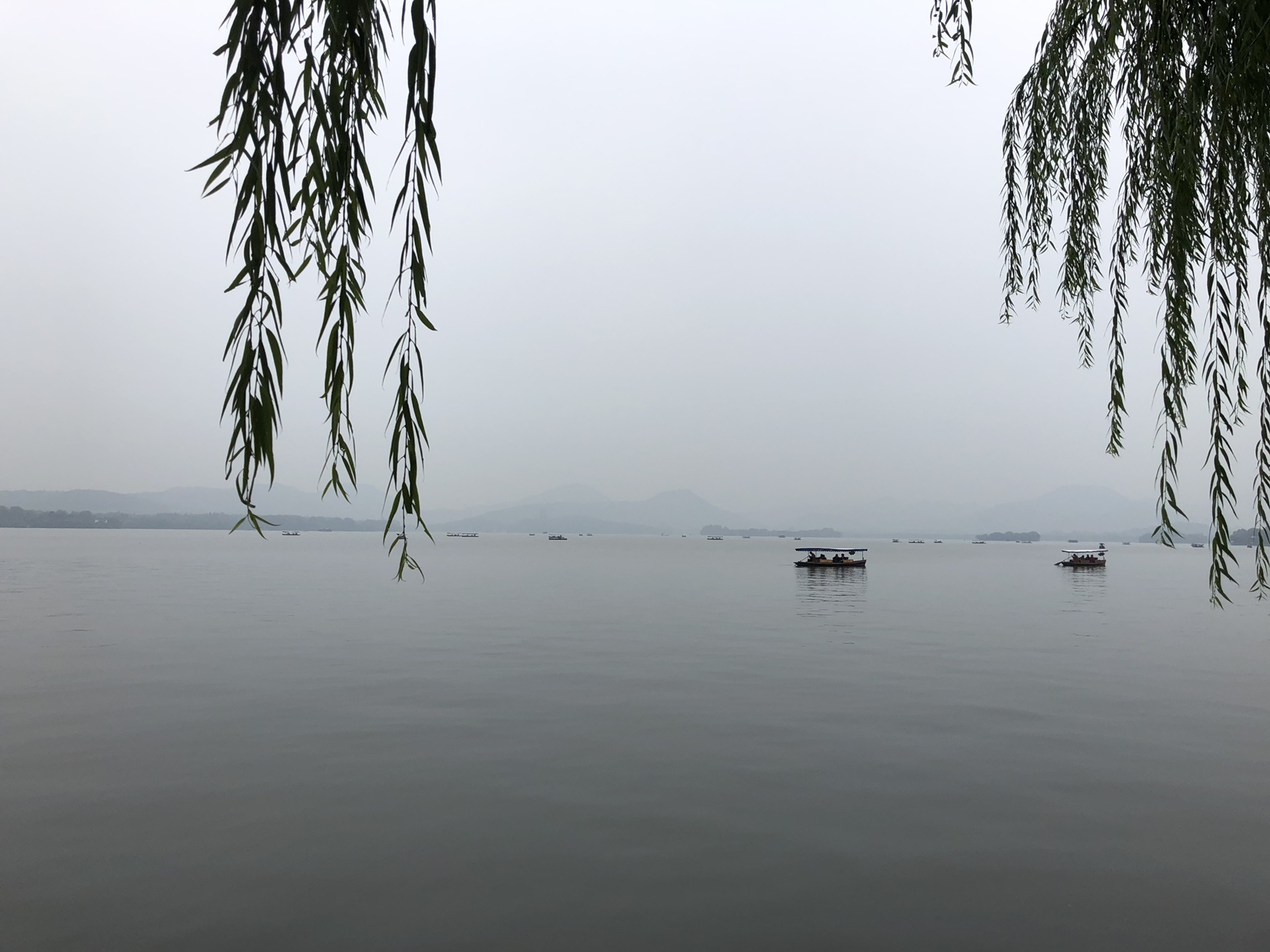 梦境解析，划船捉鱼与意外收获的麻雀——探寻潜意识中的寓意与启示