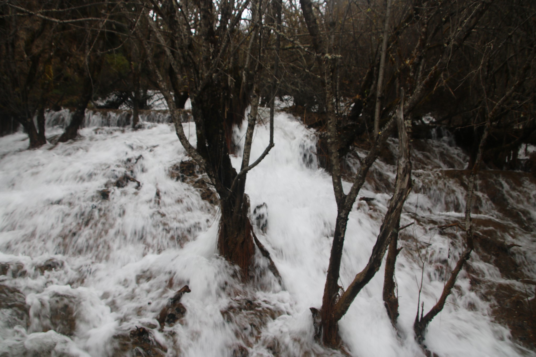 wKgED1v-WTWAUD-YAAd_iSC5ru817.jpeg?imageView2%2F2%2Fw%2F600%2Fh%2F600%2Fq%2F90