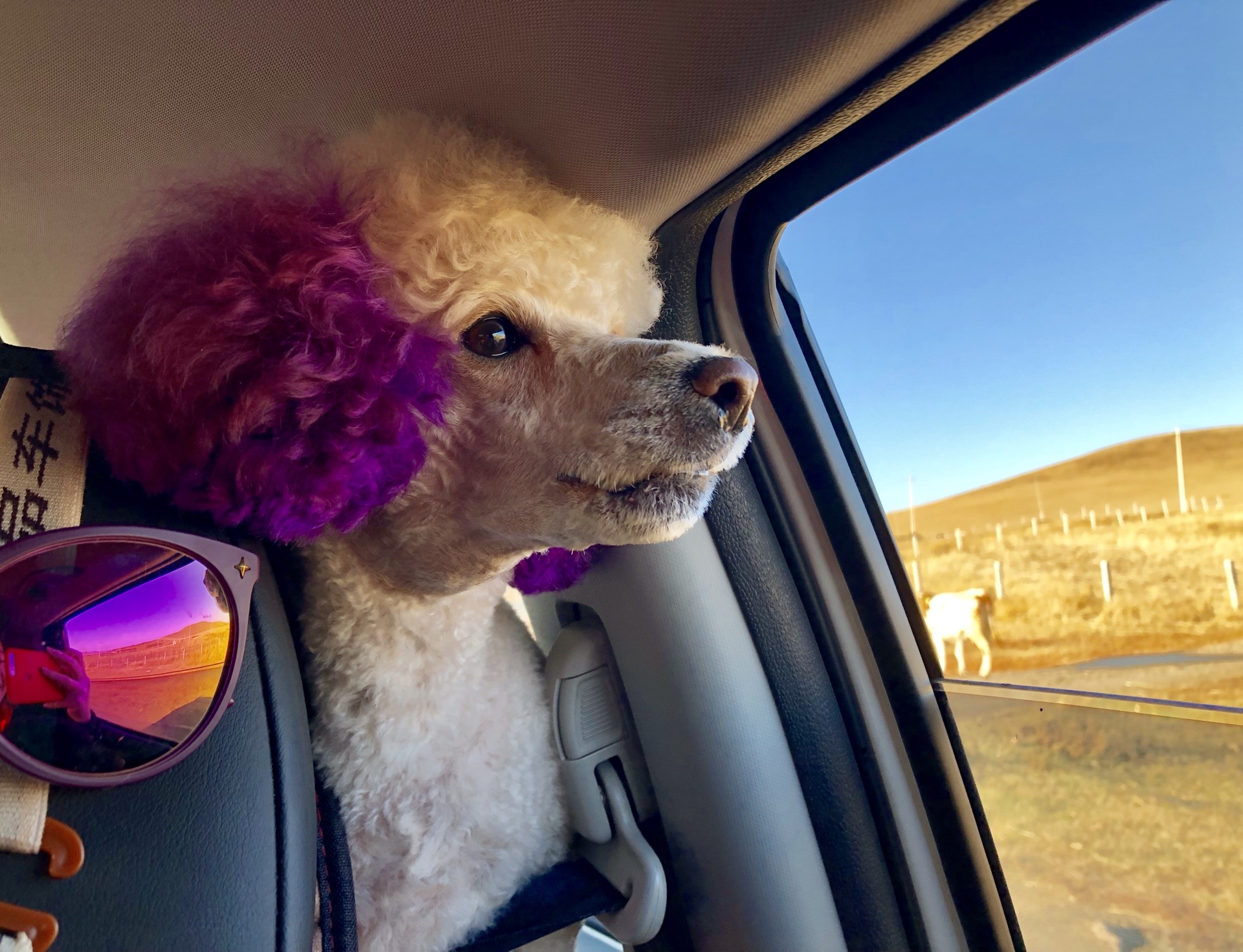 wKgED1u3dWeAITkdAAmKV4GGqNk96.jpeg?imageView2%2F2%2Fw%2F600%2Fh%2F600%2Fq%2F90