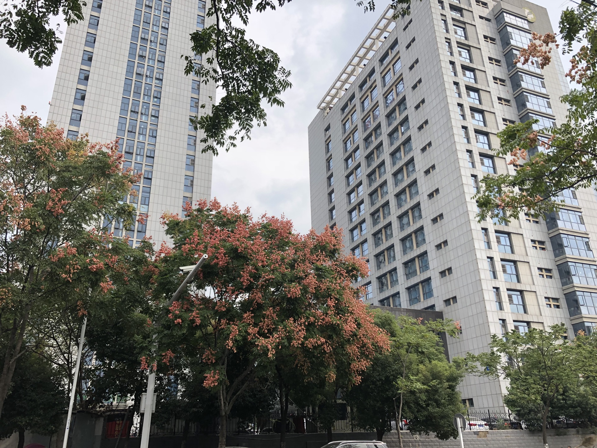 兴隆庄人口_生意兴隆图片(3)