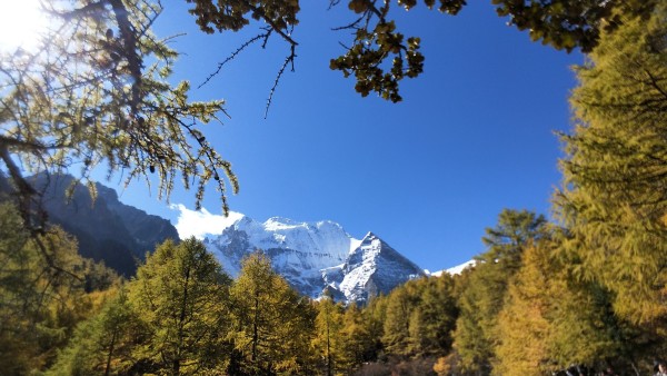 世界第一高山是哪一座 wKgED1wPy_OAWDSMAA0qIRSlbZU88.jpeg?imageView2%2F2%2Fw%2F600%2Fh%2F600%2Fq%2F90