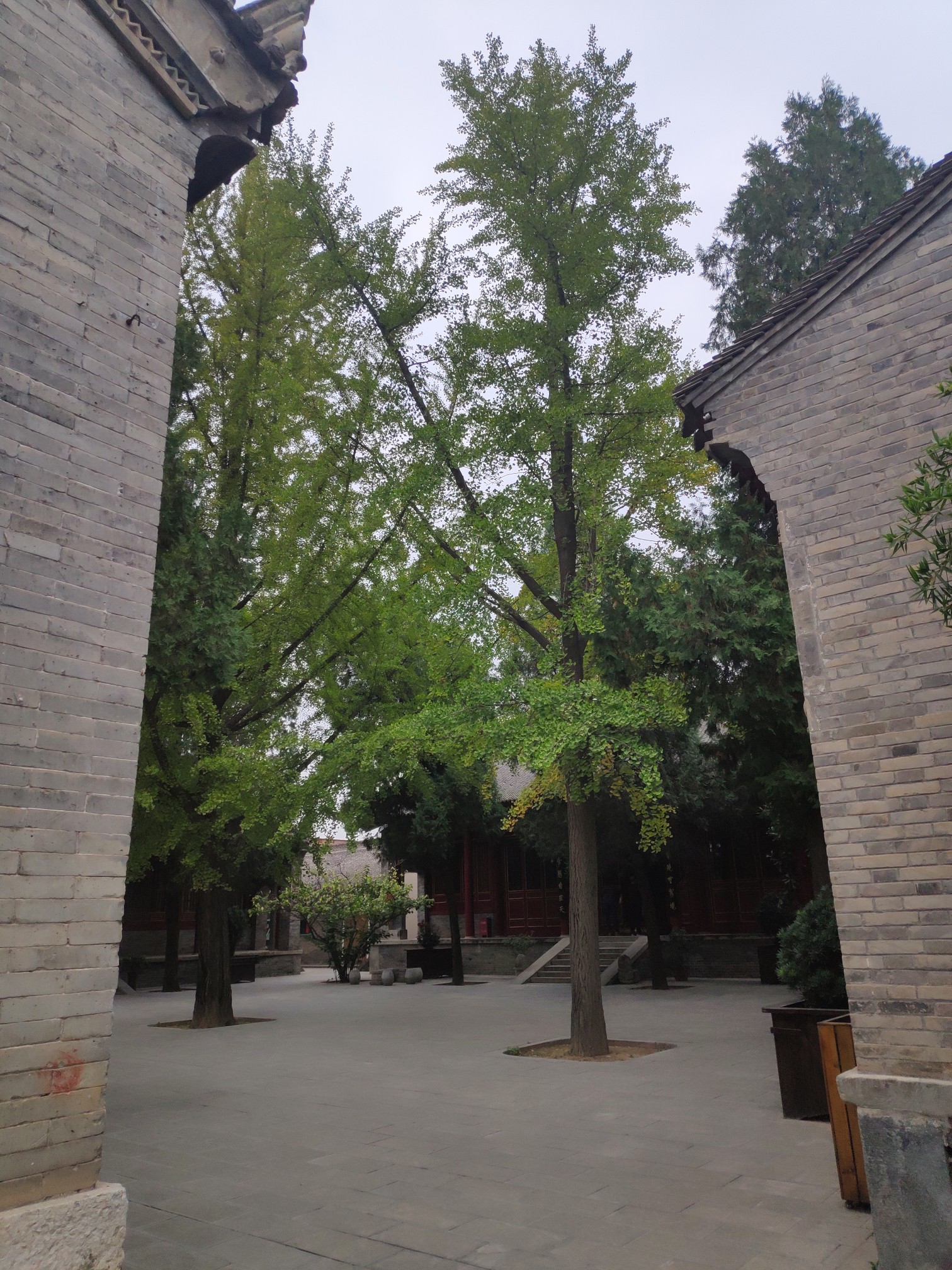 香积寺人口_西安香积寺图片